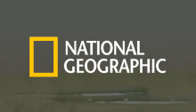 National Geographic Baby Animals