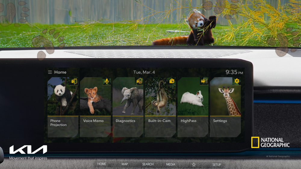 National Geographic Theme